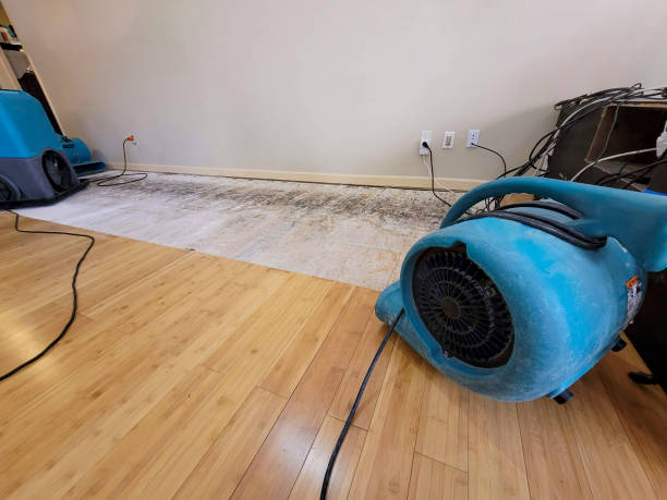 Professional Structural Drying technician working in Thompsonville, CT